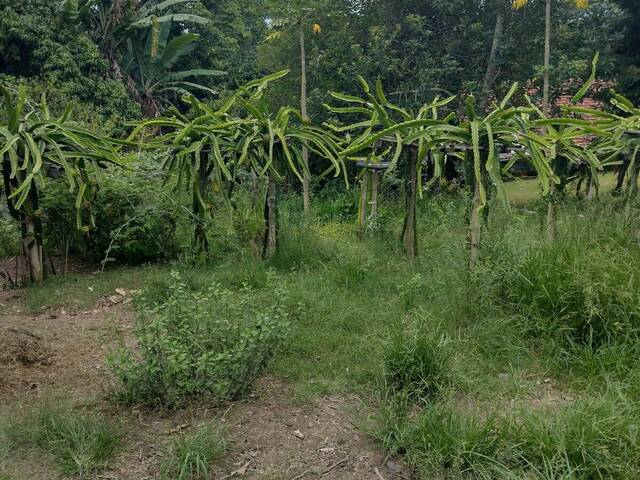 #TR12 - Terreno para Venda em Atibaia - SP - 3